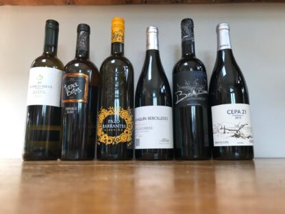 Image of 'Viva Espana' case of 12 mixed spanish wines